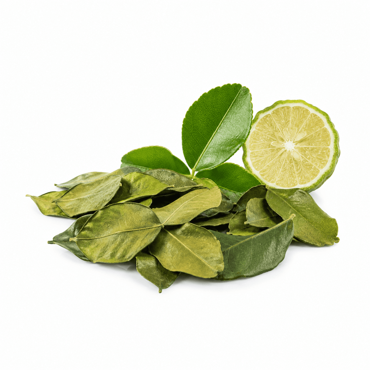 Ganze Kaffir Limettenblätter mit intensivem Zitrusaroma für Thai Curry, Tom Yum, Kokossuppen und Reis