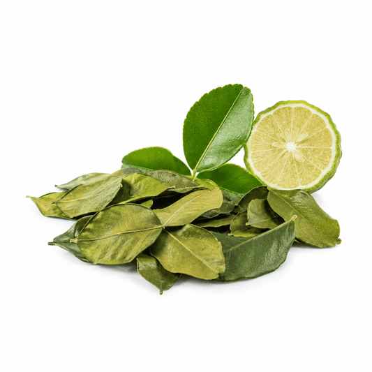 Ganze Kaffir Limettenblätter mit intensivem Zitrusaroma für Thai Curry, Tom Yum, Kokossuppen und Reis